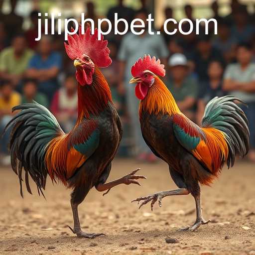 The Controversial World of Cockfighting